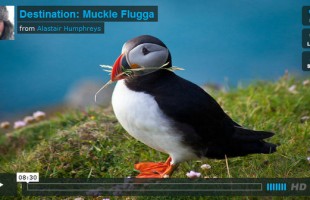 Destination: Muckle Flugga by Alistair Humphreys